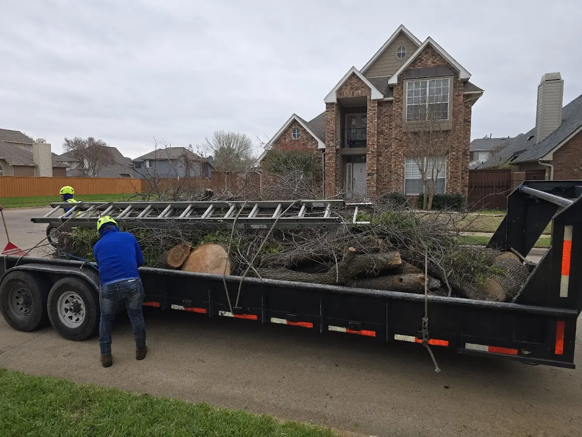 Expert Tree Fertilization with proper safety equipment in Wounded Knee
